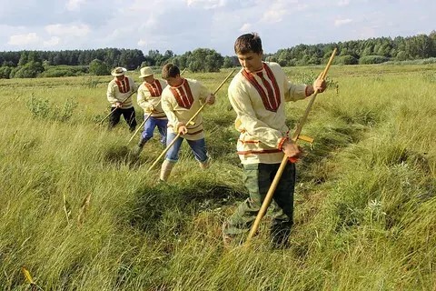 Сенокос