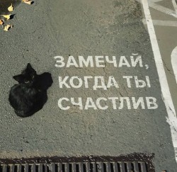 Шокко Иори