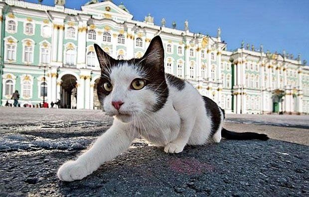 Мой Петербург