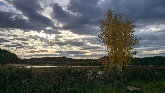 Потёртая осень