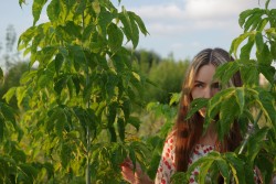 Сумасшедшая