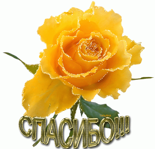 Я подарю цветы