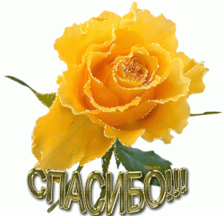 Я подарю цветы