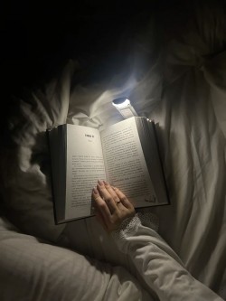 Книжный червь