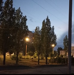 Любимое лето