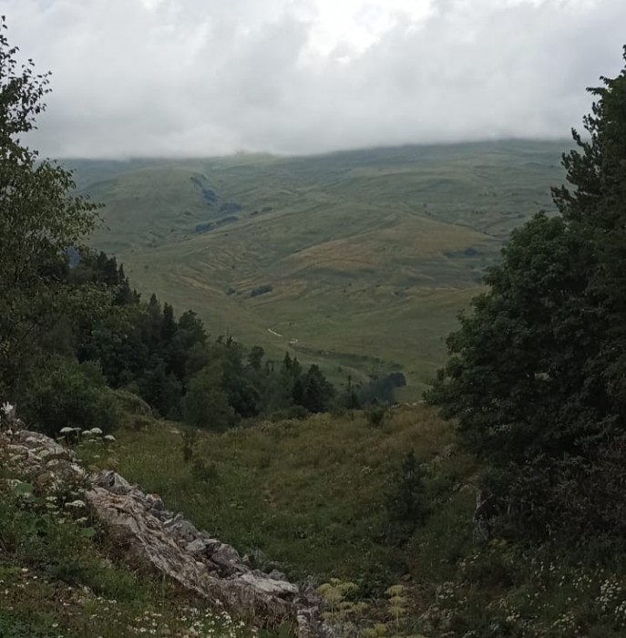 Кавказ