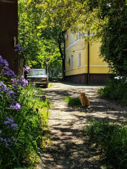 Перед концом