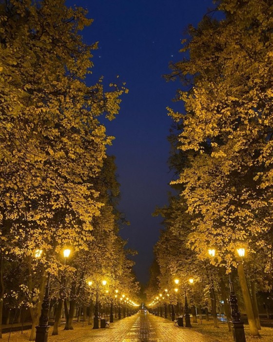 Осень. Часть 1 Сентябрь