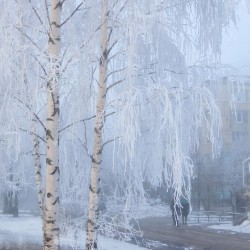 Январские морозы