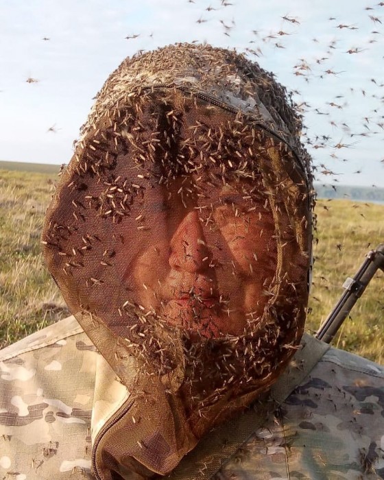 Болото