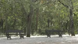 Рубец