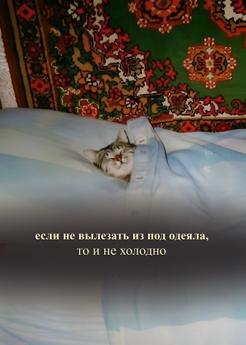 Лета больше не будет