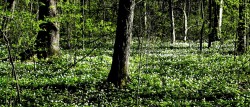 Астрономический класс