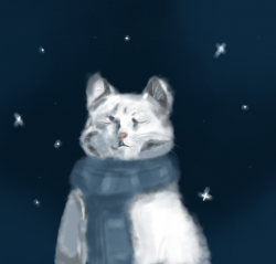 Котик