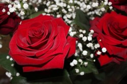 Любовью согреваем память