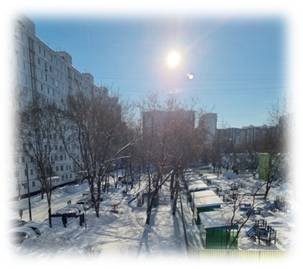 Морозный день