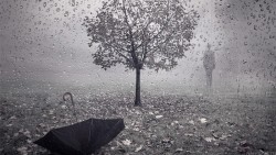 За окном сильный дождь неустанно стучит