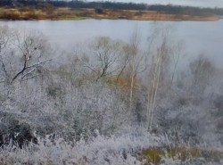 Поздний звонок