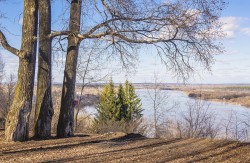 Весна в городе (песня)