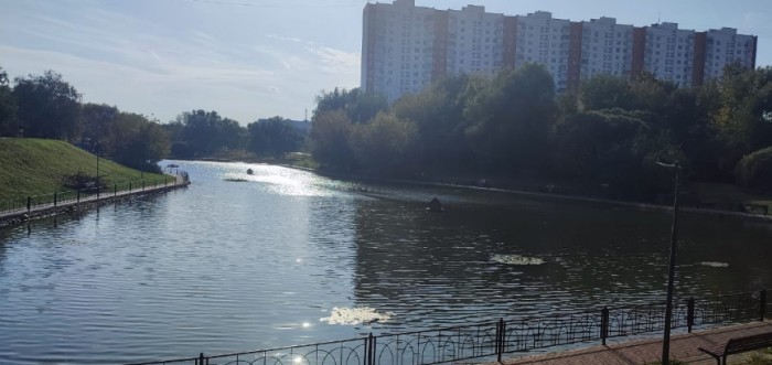 551ф-ок. Энергия любви