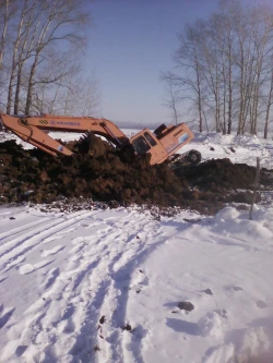 Не хлебом единым...