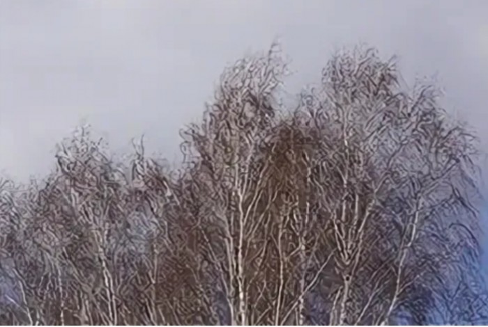 Весна и ветер