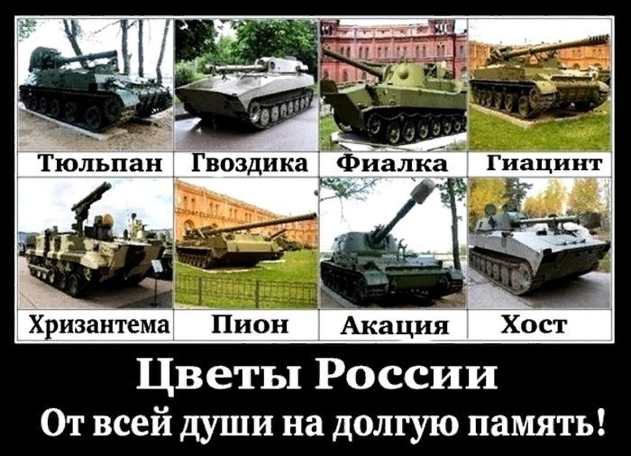 Наши цветочки - ваши проблемы.