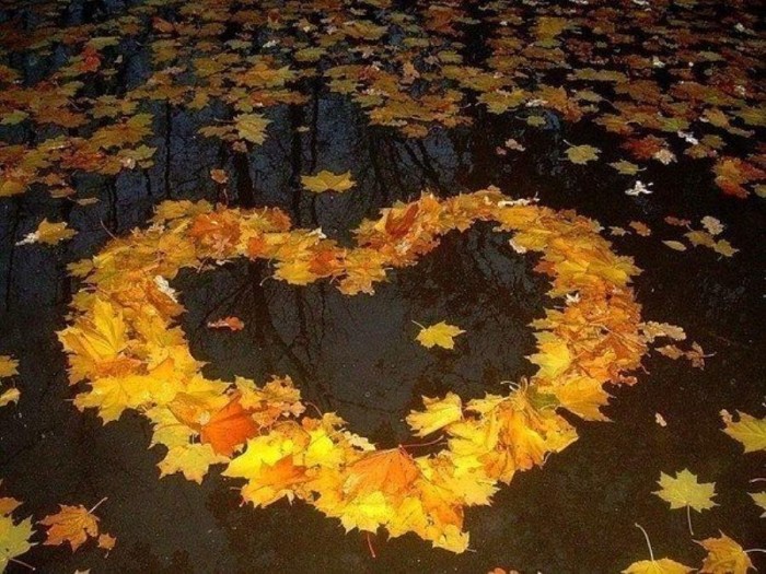 Стихи. Начало