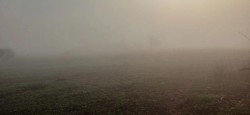 Расстилались туманами